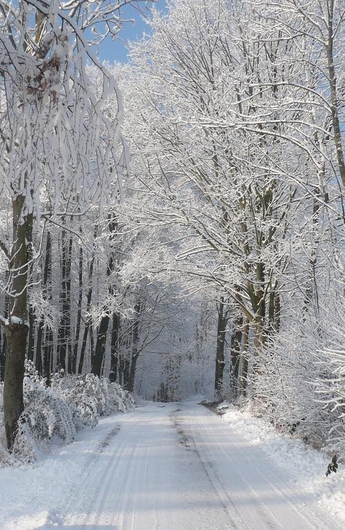 Chaty pod Sokolím Hřbetem Česká Ves Exterior foto