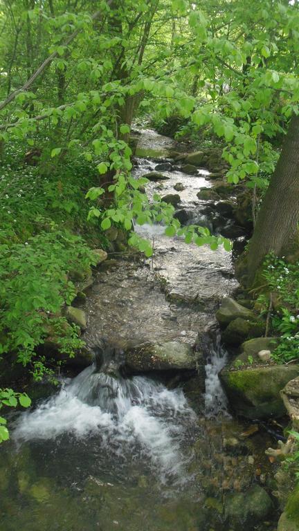Chaty pod Sokolím Hřbetem Česká Ves Exterior foto